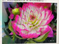 机会是什么？
在别人听不懂的时候，你做了懂了!当大家都知道的时候，机会已结束，剩下跟随者、消费者!配图