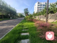 人生在世，看清別人是聰明，認識自己才是智慧。人貴在自知，認清自己，才能做回自己，成就自己。人只有認識自我，摸清自己的能力，匹配自己的價值，找好定位，明確方向，才能駛向成功的彼岸。配圖