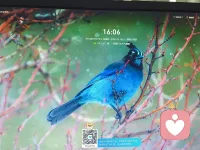 在這個充滿金錢味道的社會，錢真的很重要。作為一個男人，沒有任何退路可言，唯一的出路就是拼命賺錢，你在法律允許的框架內，必須厚顏無恥的去賺錢，不要每天糾結一個女人到底愛不愛你，也不要想著別人看不看的起你，當你成功時，最不缺的就是愛情和朋友，這不是雞湯，是現實。配圖