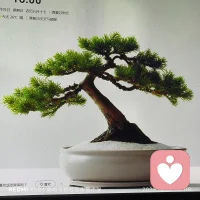 雞蛋，從外打破是食物，從內打破是生命。人生亦是，從外打破是壓力，從內打破是成長。如果你等待別人從外打破你，那么你注定成為別人的食物。如果能讓自己從內打破，那么你會發現自己的成長相當于一種重生……配圖