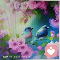 說(shuō)要健身，只是到健身房曬了幾張自拍；說(shuō)好讀書，只是去圖書館刷手機(jī)。騙別人容易，騙自己更容易，但是要騙這個(gè)世界真的有點(diǎn)難。時(shí)間很公平，你把它花在哪里，它就在哪里結(jié)果。踏踏實(shí)實(shí)的前進(jìn)，走好每一步，哪怕速度慢一點(diǎn)，生活也會(huì)給你一個(gè)滿意的結(jié)局…配圖