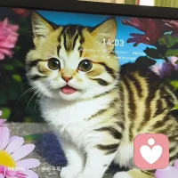 家庭的溫度，決定了一個(gè)人的幸福程度，一個(gè)家庭最好的相處模式，莫過(guò)于小事不爭(zhēng)、大事不責(zé)，遇事一起扛，事過(guò)不翻賬，幸福的家庭，不是沒(méi)有矛盾，而是有著不較真的智慧。
要始終記住：一個(gè)家庭中親人比道理重要，包容比改造更重要……配圖