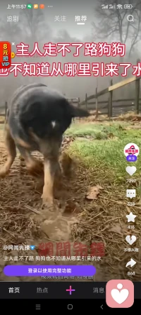 成功沒有捷徑，需要持續(xù)不斷的努力和執(zhí)著專一的堅(jiān)持。把今天的每一小步走的穩(wěn)穩(wěn)當(dāng)當(dāng)，才能逐步匯聚成明天通往成功的一大步。相信時(shí)間的力量，你終將開創(chuàng)屬于自己的未來。配圖