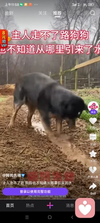 成功沒有捷徑，需要持續(xù)不斷的努力和執(zhí)著專一的堅(jiān)持。把今天的每一小步走的穩(wěn)穩(wěn)當(dāng)當(dāng)，才能逐步匯聚成明天通往成功的一大步。相信時(shí)間的力量，你終將開創(chuàng)屬于自己的未來。配圖