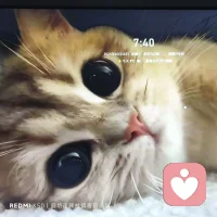 人生要珍惜兩種人
一種沒有義務卻陪著你的人
一種沒有利益卻惦記你的人
電話要打給一通就接你的人配圖