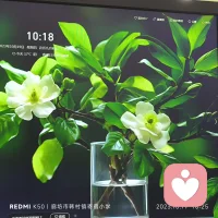 這個世界真正屬于你的，一個是你的身體，一個是你的靈魂。如果身體垮了，追求再多有何意義？成年人的責任就是照顧好自己的健康。配圖