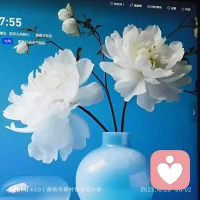 賺錢真正靠的是5個點(diǎn)
1：是信息，你得有信息渠道，能知道這個事情。
2：是認(rèn)知，你知道這個事情，認(rèn)可且敢去做。
3：是資金，你知道這個事情你敢做之后先要有錢，想做拿不出錢也成不了大事這是硬傷。
4：是圈子，非常重要，走對圈子跟對人成功一大半，即使你今天知道了這個信息，即使你今天有了這個認(rèn)知，即使你有錢了，但是你身邊沒有一群和你一起堅持志同道合的人，你就會有很多想法然后產(chǎn)生變故 明明是對的事也會半途而廢。
5：堅持很重要，認(rèn)為正確的事對的事，方向?qū)α耸Ｏ碌木徒唤o時間貴在堅持。配圖