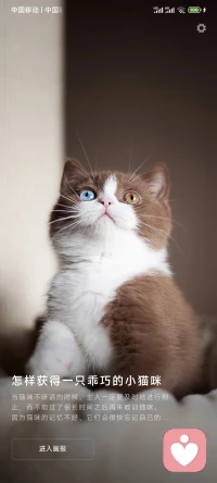 人拼命掙錢就為了三件事：當有困難的時候，不用在別人面前低三下四，當孩子開口時，不會囊中羞澀，當父母年邁時，能照顧好他們的生活。生活是現實的，望梅不能止渴，畫餅不能充饑，唯有碎銀幾兩能解大多數人的煩惱。配圖