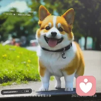 遇見了形形色色的人之后，才知道，世界上除了父母，不會有人掏心掏肺對你，不會有人無條件完全信任你，也不會有人一直對你好，你早該明白，天會黑，人會變，人生那么長，路那么遠(yuǎn)，你只能靠自己，別無他選……配圖