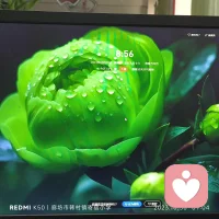 錢財再好，好不過生命，那名利再大，大不過健康，健康是人生的基石，它是我們實現夢想的基本保障，有了健康，我們才能全力以赴追求自己的目標，實現自己的愿望。配圖