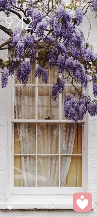 人生，大喜大悲看清自己，大起大落看清朋友。不要急躁，不要抱怨，做一個認真生活的人，盡管生活虐你千百遍，你依然熱愛生活，不放棄人生，勇往直前，堅持下去，總有一天，你會變得更好…配圖