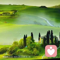 人這一輩子，難免磕磕絆絆，有起有伏。除了一往無前的勇氣，我們更要學會低頭，懂得讓步。所謂成功，既要有拿得起、拎的動的能力，也要有放得下、看的開的智慧……配圖