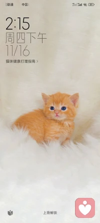 生活就是這樣的，不可能每件事都非常完美，但是不完美的事情是為了以后的完美而做鋪墊的。坦然的面對每一次缺憾 迎接下一次挑戰，命運如同手中的掌紋，無論多曲折，終掌握在自己手中…配圖