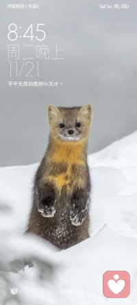 無論這世事如何變幻，一年冬來雪起時，有熱愛的事可做，有溫暖的人可念，有暖心的話可言，有前行的路可盼，這一程，就值得眷戀。配圖