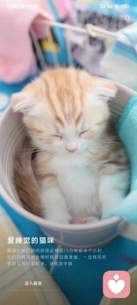 一個懂得反省的人，擁有自我更新的能力，可以讓優勢為自己筑梯，讓劣勢為自己鋪路。當過往的經驗融合進入人生的閱歷之中，就會成就更好的自己。配圖