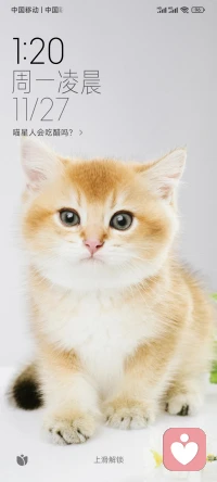 你现在所经历的寒冬，看似沉寂，实则暗潮涌动，一切生长拔节都在沉默中进行，你只需要努力生长，因为只有兀自自强，时间才会带你去你最想要的去的地方。配图