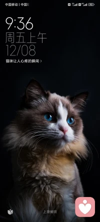 心上有个人才能活下去，才能感悟情感与弥漫的含义，不然生命就没有了存在的意义，生命质量就会越淡，生命需要温度，需要情感的寄托，因他（她）而存在，生活需要情感的陪伴，恰似因为这些羁绊，我们心里才有念头，生活才会有奔头。配图