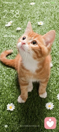 记住，风光背后不是沧桑就是肮脏，没有人会随随便便轻易成功，放手去拼搏吧。心是个口袋 东西装少点叫心灵，多一点叫心眼，再多一点叫心计，更多是叫心机…配图