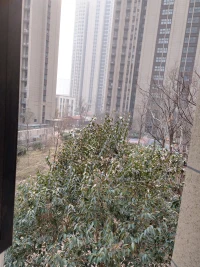 2023，想對自己說什么我想說：活著，帶著愛。新年你好！配圖