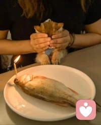 心理學家研究證明，“愛的語言”只有五種，你需要找到的，是你的最主要愛語。它們分別是：肯定的語言、特別的時間、接受禮物、服務的行動、身體的接觸。配圖