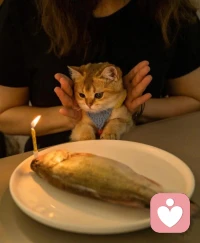 心理學家研究證明，“愛的語言”只有五種，你需要找到的，是你的最主要愛語。它們分別是：肯定的語言、特別的時間、接受禮物、服務的行動、身體的接觸。配圖