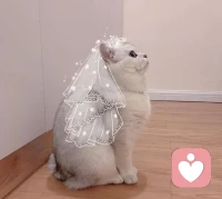 女人是感性的，心里有了委屈，嘴上就要忍不住進行情感控訴，男人無法理解這些控訴，他會覺得你是在責怪他，而不是企圖獲得交流，從而產生敵對情緒。配圖