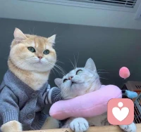 越是持久的關系，越需要不斷地儲蓄。由于彼此都有所期待，原有的信賴很容易枯竭。經常接觸的人必須時時投資，否則突然間發生透支，會令人措手不及。配圖