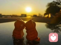 心理學教授JordanPeterson提出：婚姻的本質就是心甘情愿把自己和另一個人綁在一起，不是遇事就跑。婚姻如同普照大地的太陽，照耀著雙方家庭，也照出彼此的缺點，然后學會互相成全。配圖