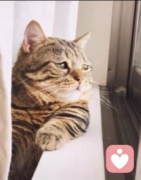 超越自卑最好的方法，就是價(jià)值感。當(dāng)一個(gè)人感覺(jué)到自己是有價(jià)值的，我是被需要的，他就能夠超越自卑。配圖