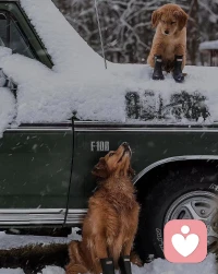 正如馬克思說過的，人是一切社會關系的總和。我們平時接觸到什么樣的人，會直接影響我們的狀態。當身邊都圍繞著充滿嫌棄、惡意的關系，我們會無形中感到焦慮和壓抑。而只有清理掉這些糟糕的關系后，我們的內心才能騰出更多空間，才能感到更放松和舒適。配圖