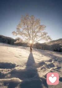 “教育的目的不是學(xué)會知識，而是習(xí)得一種思維方式。學(xué)會思考、選擇，擁有信念、自由，這是教育的目的，也是獲得幸福的能力。”——美國已故小說家大衛(wèi)·福斯特·華萊士配圖