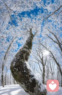 “教育的目的不是學(xué)會知識，而是習(xí)得一種思維方式。學(xué)會思考、選擇，擁有信念、自由，這是教育的目的，也是獲得幸福的能力。”——美國已故小說家大衛(wèi)·福斯特·華萊士配圖