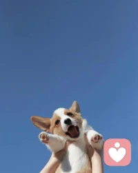 心理學家把人的內在分為三種角色：兒童自我狀態，父母自我狀態和成人自我狀態。當我們依賴別人時，我們會自動處于兒童自我狀態中。我們的情感，思考和行為方式會表現像個孩子一樣，期待他人和世界來滿足我們的需求和欲望，做事情不考慮后果，隨心所欲。配圖