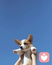 心理學家把人的內在分為三種角色：兒童自我狀態，父母自我狀態和成人自我狀態。當我們依賴別人時，我們會自動處于兒童自我狀態中。我們的情感，思考和行為方式會表現像個孩子一樣，期待他人和世界來滿足我們的需求和欲望，做事情不考慮后果，隨心所欲。配圖