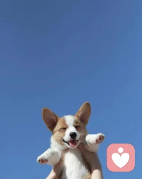 心理學家把人的內在分為三種角色：兒童自我狀態，父母自我狀態和成人自我狀態。當我們依賴別人時，我們會自動處于兒童自我狀態中。我們的情感，思考和行為方式會表現像個孩子一樣，期待他人和世界來滿足我們的需求和欲望，做事情不考慮后果，隨心所欲。配圖