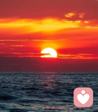 如果你因錯過太陽而哭泣，那么你也會錯過群星了。——泰戈爾《飛鳥集》很多事情，我們無法改變，但我們卻可以決定對待事情的態度。真正樂觀的人，不會將自己一味置于頹廢和悲觀的情緒之中。因為他們明白，與其悶悶不樂，讓事情越變越糟，不如用更加積極的心態去面對風風雨雨。及時調整自己的情緒與心態，顯得尤為重要。配圖