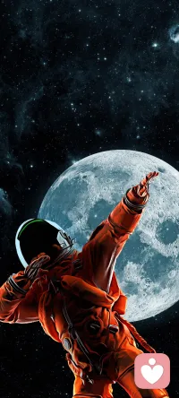 當你平靜的把該做的事都做好，生活自會把該給你的東西在合適的時候都會給你，好的人生不慌不忙!別貪心，你不可能什么都有，別焦慮，你不可能什么都沒有。每個人的花期不同，不必焦慮，有人比你提前擁有，生活嘛，慢慢來，你又不差!配圖