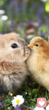 海格力斯效應(yīng)是一種人際互動(dòng)，它是一種人與人之間或群體之間存在的冤冤相報(bào)、致使仇恨越來越深的社會(huì)心理效應(yīng)。在日常交際中，如果我們深陷海格力斯效應(yīng)，就無疑陷入了無休止的煩惱之中，這樣，我們會(huì)錯(cuò)過路邊許多美麗的風(fēng)景，失去真正的快樂，也無法擁有良好的人際關(guān)系。配圖