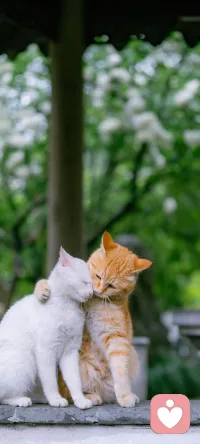 海格力斯效應(yīng)是一種人際互動(dòng)，它是一種人與人之間或群體之間存在的冤冤相報(bào)、致使仇恨越來越深的社會(huì)心理效應(yīng)。在日常交際中，如果我們深陷海格力斯效應(yīng)，就無疑陷入了無休止的煩惱之中，這樣，我們會(huì)錯(cuò)過路邊許多美麗的風(fēng)景，失去真正的快樂，也無法擁有良好的人際關(guān)系。配圖