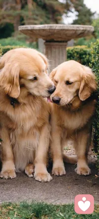 海格力斯效應(yīng)是一種人際互動(dòng)，它是一種人與人之間或群體之間存在的冤冤相報(bào)、致使仇恨越來越深的社會(huì)心理效應(yīng)。在日常交際中，如果我們深陷海格力斯效應(yīng)，就無疑陷入了無休止的煩惱之中，這樣，我們會(huì)錯(cuò)過路邊許多美麗的風(fēng)景，失去真正的快樂，也無法擁有良好的人際關(guān)系。配圖