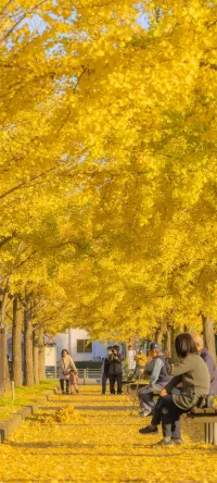 一生很短。
來不及旭日初上，就已經夕陽滿窗
來不及春宴細賞，就已經晚來冬霜
來不及年少輕狂，就已經遲暮惆悵配圖