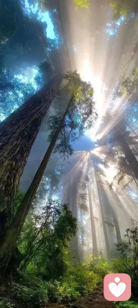你連想改變別人的念頭都不要有！要學習象太陽一樣，只是發(fā)出光和熱，每個人接收陽光的反應有不同，有人覺得刺眼，有人覺得溫暖，有人甚至躲開陽光。種子破土發(fā)芽前沒有任何的跡象，那是因為沒到那個時間點。配圖