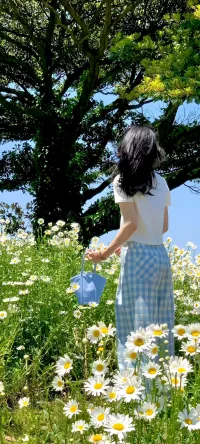 至此鮮花贈自己，縱馬踏花向自由配圖