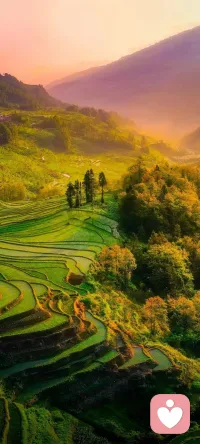 當你開始做時間的主人，你會感受到平淡生活中噴涌而出的平靜的力量，至于那些焦慮與不安，自然煙消云散。
把時間分給睡眠，分給書籍，分給運動。分給花鳥樹木和山川湖海，分給你對這個世界的熱愛，而不是將自己浪費在無聊的人和事上。配圖