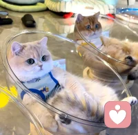 作為父母給孩子最大的財富是什么
“被父母完全喜歡”
一個被父母完全喜歡的人，其一生都會有一種作為勝利者的感覺，而這種成功的信心，通常都會帶來真正的成功，所以父母給孩子完全的喜歡，是給孩子的巨大財富，配圖