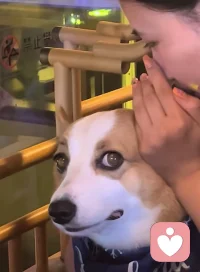 大多的矛盾歸根究底都是試圖去改變對方，
想讓對方按自己的方式做事配圖