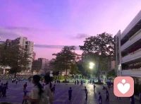 當你只注意到一個人的行為時，你沒有看見他；當你關(guān)注到一個人行為背后的意圖時，你開始看見他；當你關(guān)心一個人意圖后面的需要和感受時，你真正看見他了。透過你的心看見另一顆心，這是一個生命看見另一個生命，也是生命與生命相遇了，愛就發(fā)生了，愛會開始在心之間流動，喜悅而動人。這就是吸引而幸福。配圖