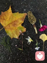 很多時候，我們是輸給了自己給自己找的借口，所以才不敢去嘗試，所以失去了人生無數的可能性，面對未知的事物，勇敢試一試，你才知道自己有多少潛能。
去做一些有所突破的事，才能領略不一樣的風景，給人生多一種可能。配圖