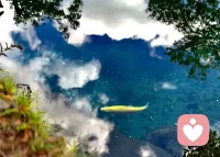 無限的寬容必將導致寬容的消失配圖