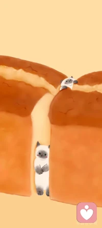 凡有所依
皆會失去配圖